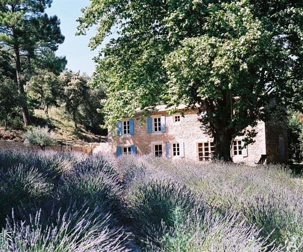 Producteur de truffes noires en Drôme provençale